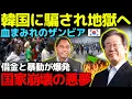 Download Lagu 【海外の反応】韓国の甘い罠に飛びついた結果…！ザンビア全土が血と混乱に沈んだ悲劇！