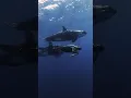 Orca family comes to say hello in the open ocean