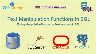 SQL 21 String Data Manipulation Functions in SQL Text Manipulation Functions Text Functions