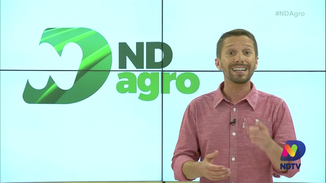 Confira o ND Agro deste domingo