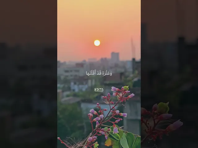 ⁣فكم يا الهي من كربة قد فرجتها🤲🏻#دعاء #دعاء_الافتتاح #اللهم #كربة #فرج