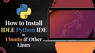 How to Install IDLE Python IDE in Ubuntu and Other Linux