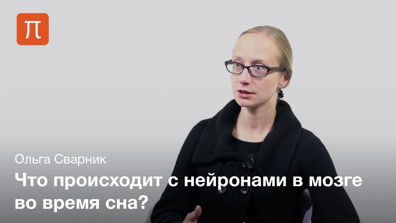 Сварник Ольга — Сон и память