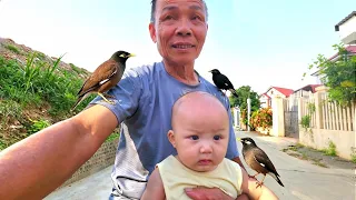 Chân Đau Tập Tễnh Đi Thăm Chim Và Tin Vui - Em Đã Khỏi Đòi Theo Ông Đi Chơi / Quế Nghịch