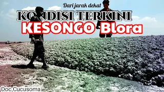 Download Kondisi Terkini lumpur KESONGO MP3