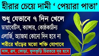 পেয়ারা পাতার উপকারিতা | এলার্জি দূর করবে ৭টি পেয়ারা পাতা | Discover the Benefits of 7 Guava Leaves