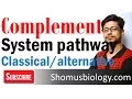 Complement system classical and alternative pathway of complement activation