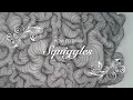 How to Draw Squiggles In Less then 5 Minutes