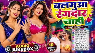 छेदा छेदी हिट पर हिट भोजपुरी गाने | #आर्केस्ट्रा | New Bhojpuri Nonstop #Jukebox #Bhojpuri Gana