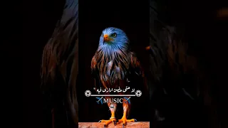 هي بقت كدا عبد الباسط حموده حالات واتس اب حزينه جدا والله هتبكي بجد كلمات معبرة جدا وموثره كتير Ff 