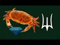Deepwoken Blue Gem Experience Volume Warning