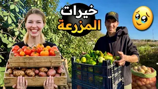 اليوم جنينا خيرات المزرعة 🥹 محصول البطاطس والفلفل فاجأنا قبل البرد🥶