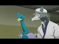 Legoshi runs into Dom Beastars Season 3