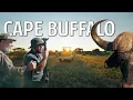 Download Lagu FACE TO FACE WITH AFRICA'S MOST DANGEROUS GAME | CAPE BUFFALO CHARGE