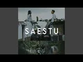 Download Lagu SAESTU