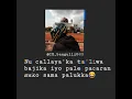 Story wa lawak 24 detik