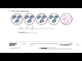 lesson 2 homework module 6 grade 2