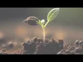 mahafeed rootmax | Humic acid | हुमिक एसिड (@digital_yuva_shetkari )