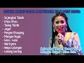Download Lagu DIAN ANIC FULL POPULER 10 LAGU 2024