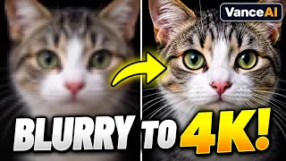 Fix Blurry Photos & Remove Backgrounds with AI | VanceAI Tutorial (2026)