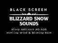 Lagu [Black Screen Snowstorm] Blizzard Sounds For Sleeping - Sleep Ambience NO ADS ┇ Wind Storm