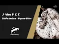 Download Lagu J-Nius V.V. Z (Little Indian - Ugano Sitte) 2024