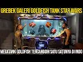 GREBEK GALERI GOLDFISH TANK STAR WARS. MEGATANK GOLFISH TERCANGGIH SATU2 NYA DI INDO. RICHGOLDFISH