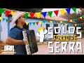Download Lagu SOLOS FORRÓ PÉ DE SERRA NA SANFONA  - PJ SANFONEIRO