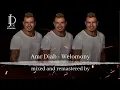 Amr Diab - Welomony / عمرو دياب - ويلومونى( COVER)