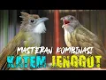 Lagu MASTERAN KAPAS TEMBAK VS CUCAK JENGGOT