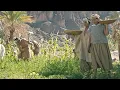 The Secret Behind the Ancient Mayan s Agricultural Prowess