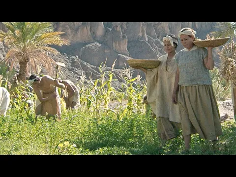 The Secret Behind the Ancient Mayan's Agricultural Prowess