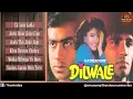 Dilwale Movie Songs | Ajay Devgan | Raveena Tandon