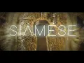 Siamese - Numb Visualizer