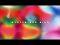 Romain Garcia - Mysterious Bird