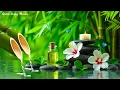 Download Lagu Beautiful Relaxing Music + Soothing Water Sounds 🌿 Eliminate Stress, Calm the Mind, Sleep Music, Spa
