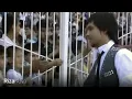 Download Lagu Ummon - Popuri | Уммон - Попури (VIDEO)