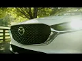 Nelson CX30 Murfreesboro