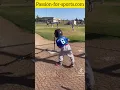 softball for softball fans
