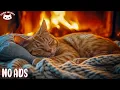 Download Lagu Calming Music for Cats With Anxiety 🐾🎵 Soothing Sounds For Deep Sleep, Healing Insomnia, Relaxing MP3