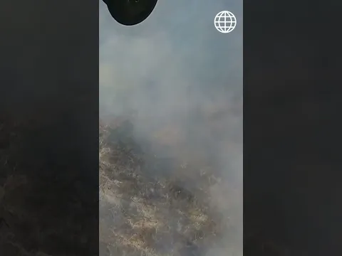 AMÉRICA ESPECTÁCULOS | Jazmín Pinedo pide apoyo por incendios forestales | #shorts