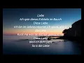 Sido - Liebe Lyrics HD