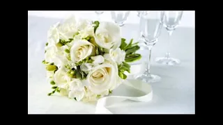 احمد دعسان نورتى 2 