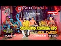 SAGAGANG KEMBANG ROS CEU TARSIH - X CT MUSIC COVER