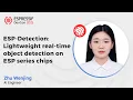 DevCon25 - ESP-Detection Lightweight Real Time Object Detection on ESP Series Chips