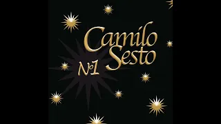 Camilo Sesto - Fresa salvaje (remix)