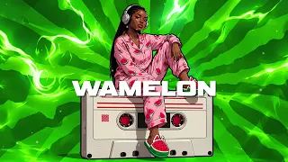 " WAMELON "  🍉   Dancehall Shatta Instrumental 2026 (Afro shatta type beat )