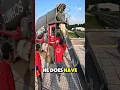 https://vt.tiktok.com/ZSBbq7VBo/#shorts