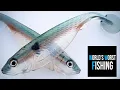 New Angling Ai G-5 Swimbait Mold Pour AND Catch