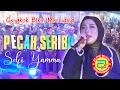 Download Lagu Viral ‼️ SELFI YAMMA_Lida ~ Cengkok Beracun PECAH SERIBU || Alink Musik